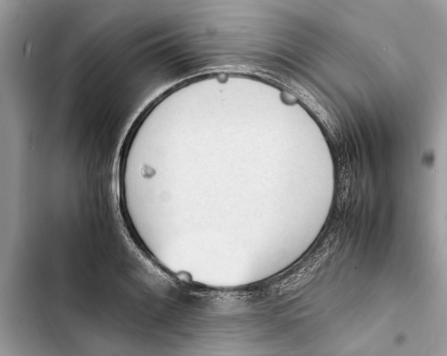 X0000103451084200810031430