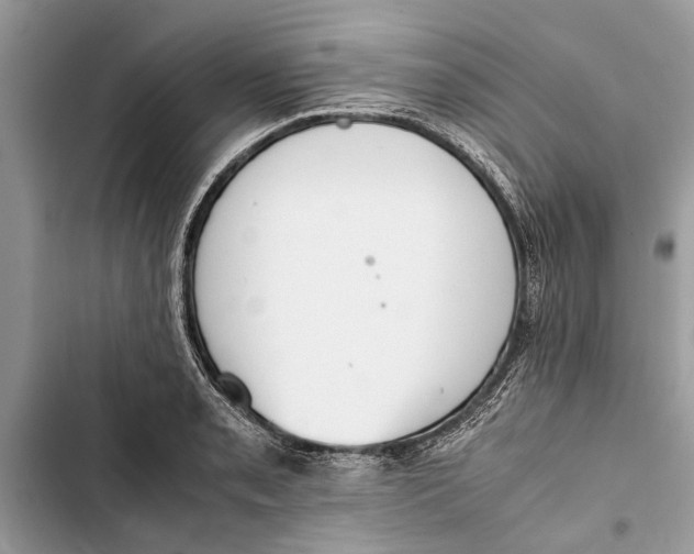 X0000103451085200810031430