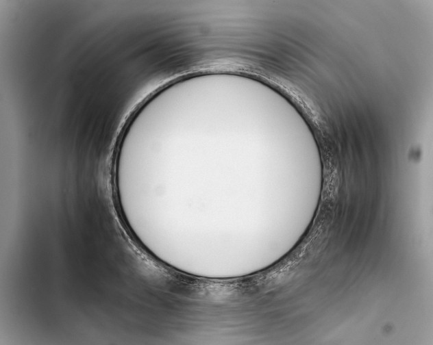 X0000103451086200810031430