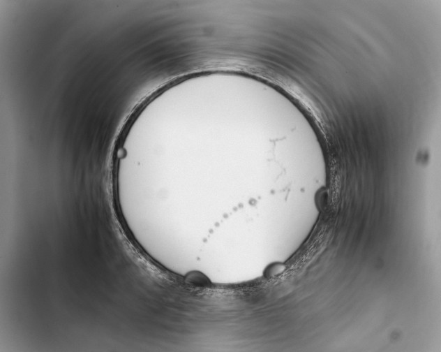 X0000103451088200810031430