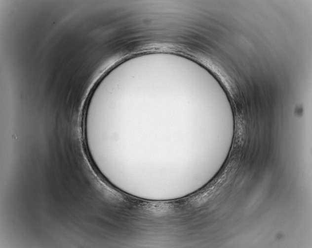 X0000103451090200810031430