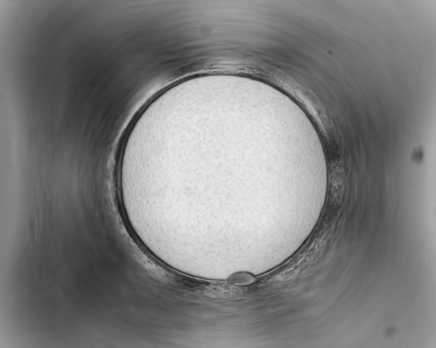 X0000103451091200810031430