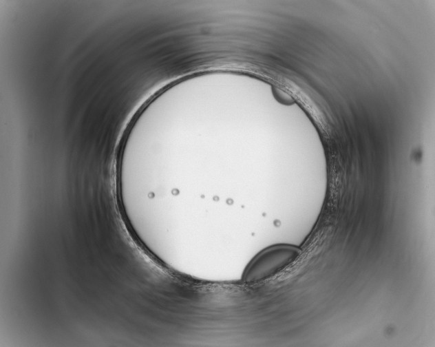 X0000103451092200810031430