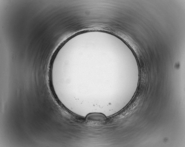 X0000103451093200810031430