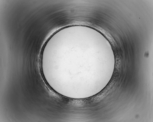 X0000103451094200810031430