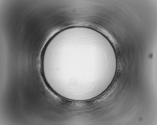 X0000103451095200810031430