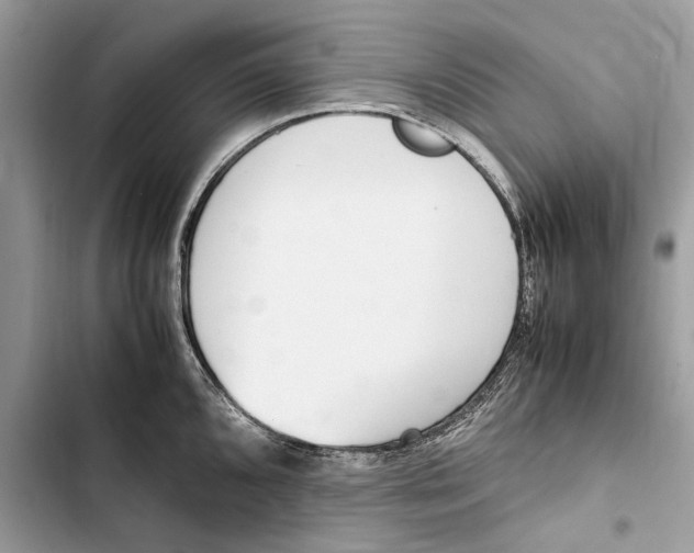 X0000103451096200810031430