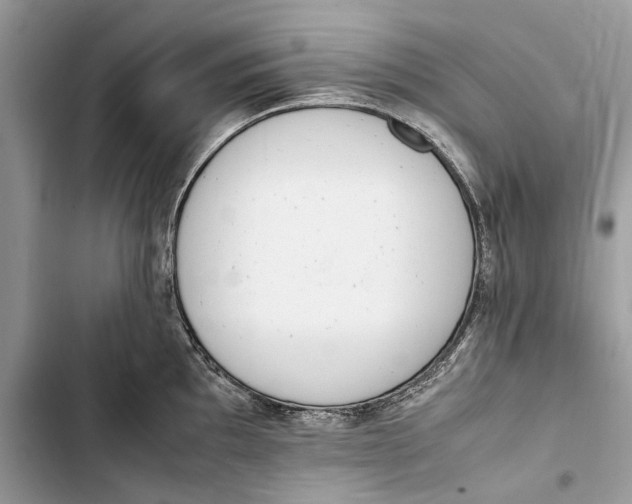 X0000103451097200810031430