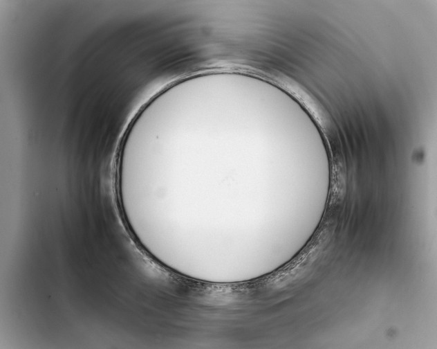 X0000103451098200810031430