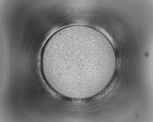 X0000103451099200810031430