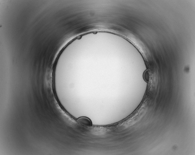 X0000103451100200810031430