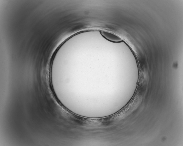 X0000103451101200810031430