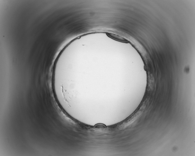 X0000103451102200810031430