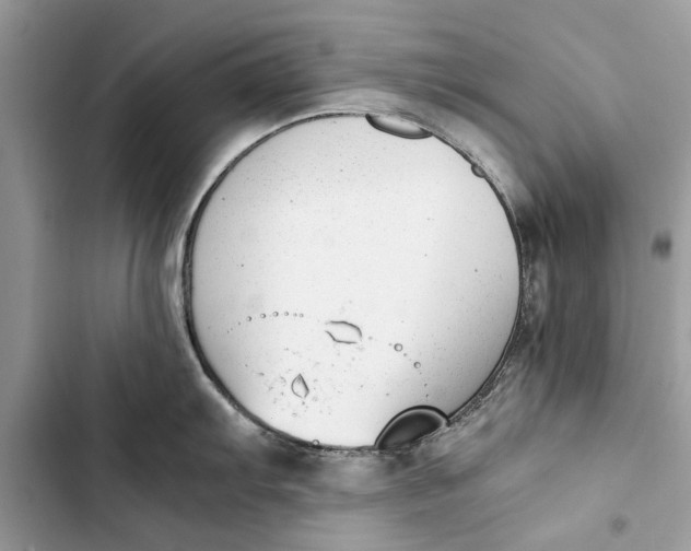 X0000103451103200810031430