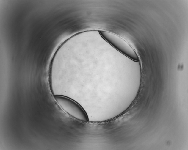 X0000103451104200810031430