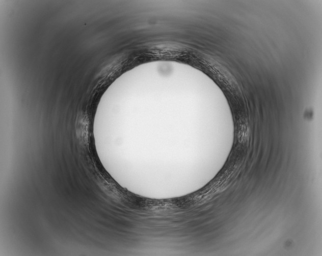 X0000103451108200810031429