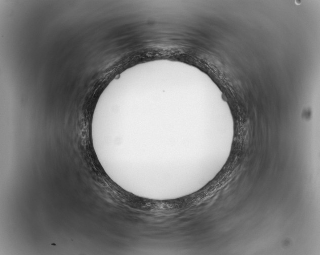 X0000103451109200810031429