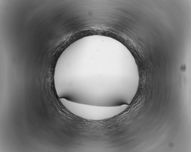 X0000103451110200810031429