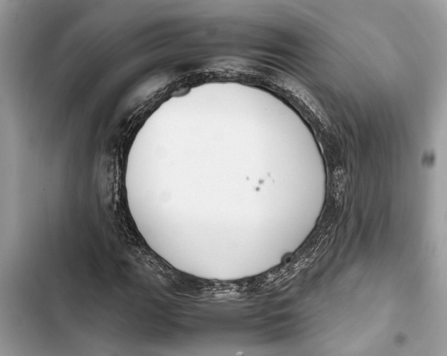 X0000103451111200810031429