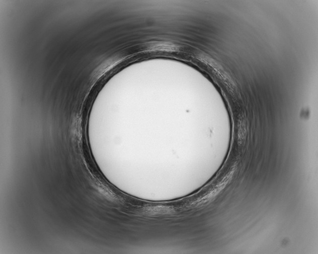 X0000103451113200810031429