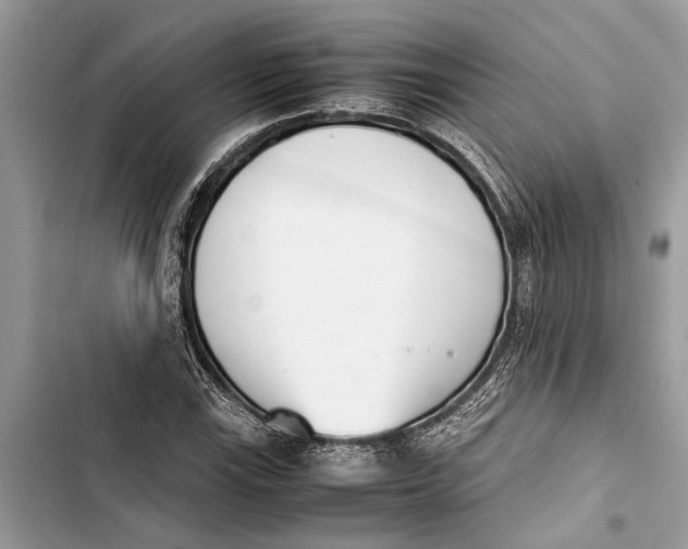 X0000103451115200810031429