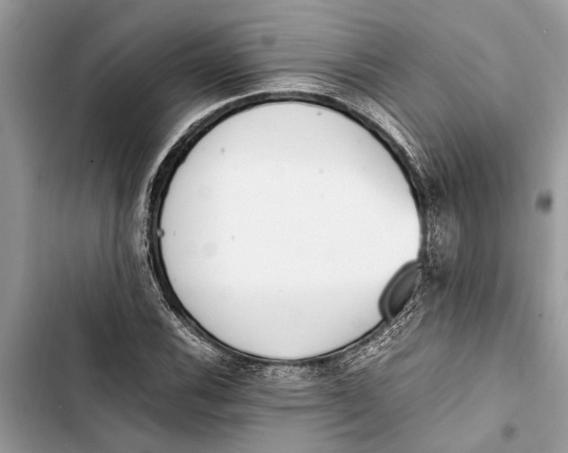 X0000103451116200810031429