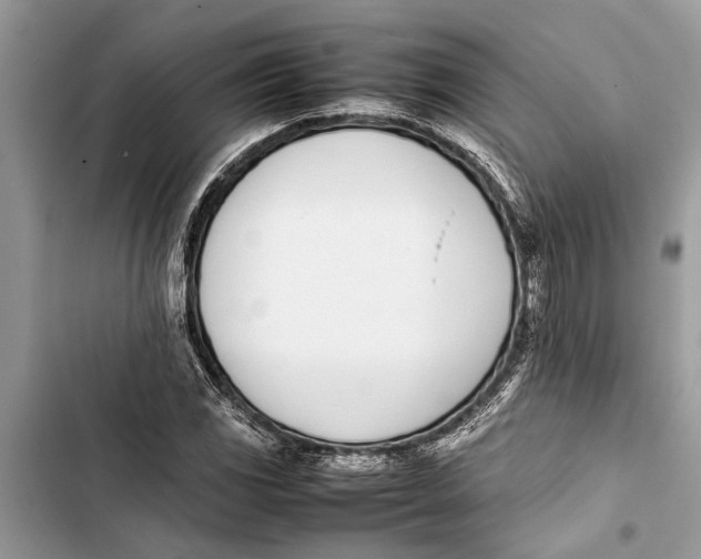 X0000103451117200810031429