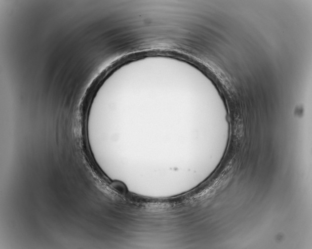 X0000103451118200810031429