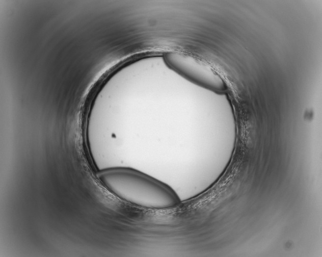 X0000103451120200810031429