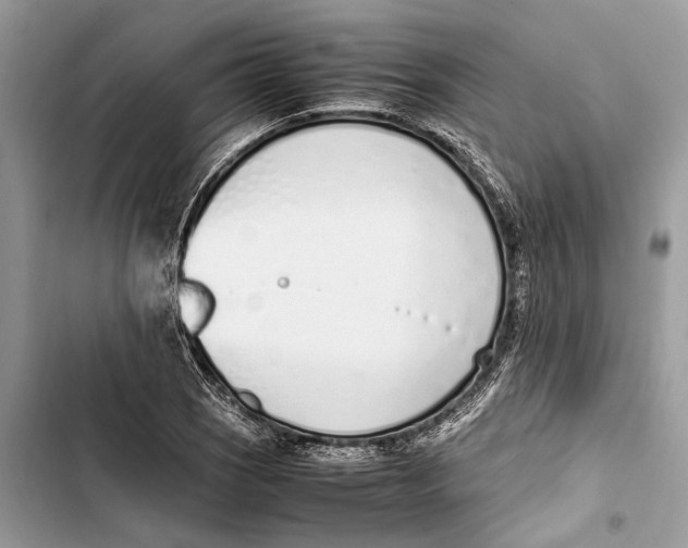 X0000103451121200810031429