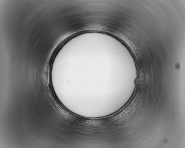 X0000103451123200810031429