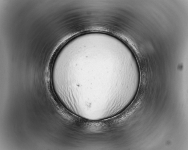 X0000103451125200810031429