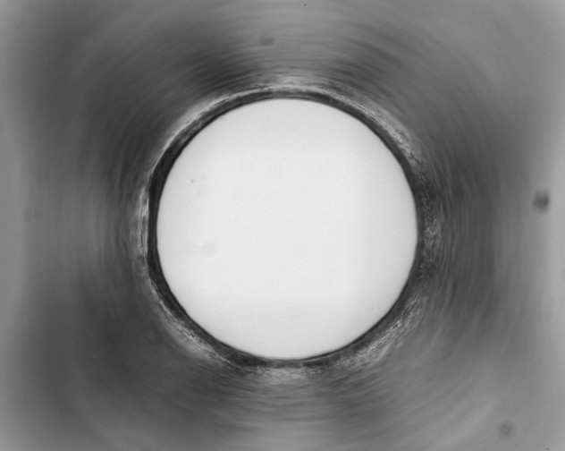 X0000103451126200810031429