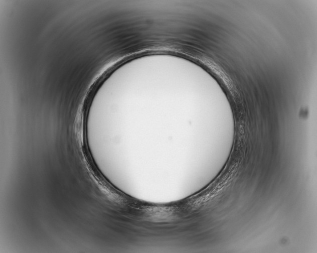 X0000103451127200810031429