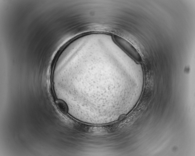 X0000103451128200810031429