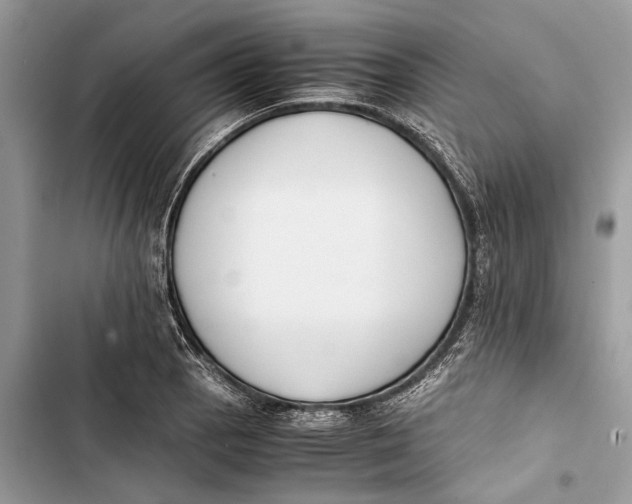 X0000103451129200810031430