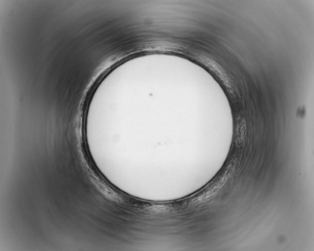 X0000103451130200810031430