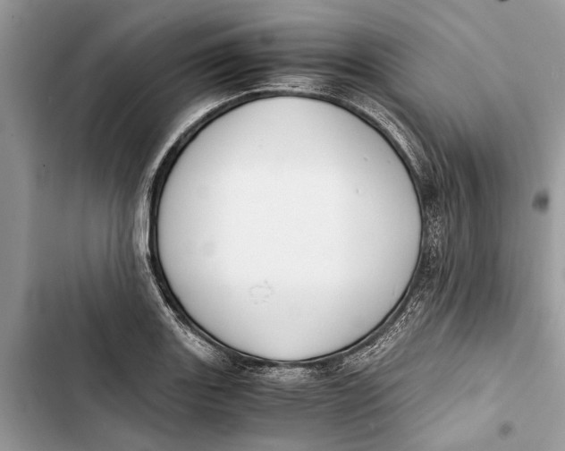 X0000103451131200810031430