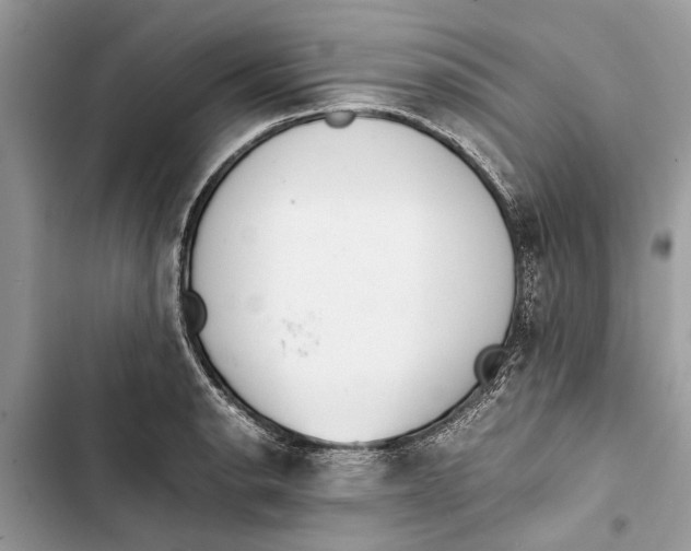 X0000103451134200810031430