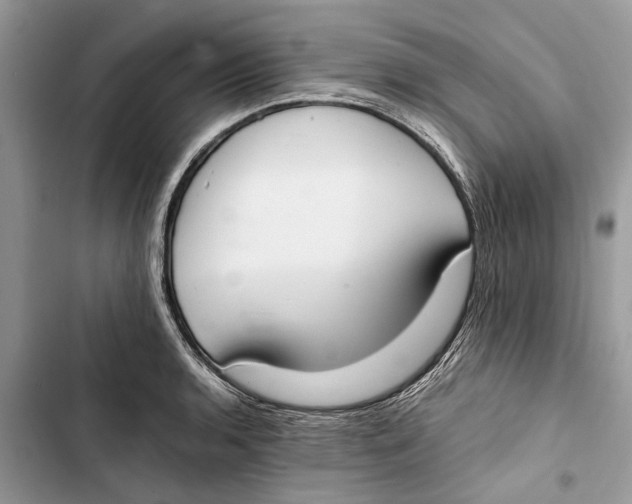 X0000103451136200810031430