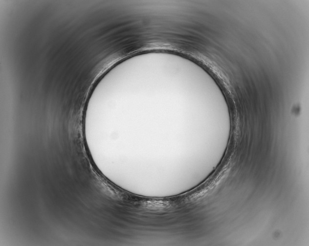 X0000103451137200810031430