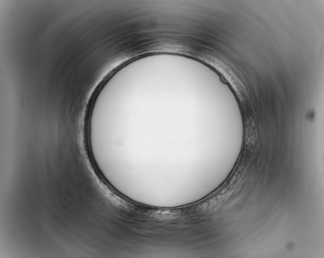 X0000103451139200810031430