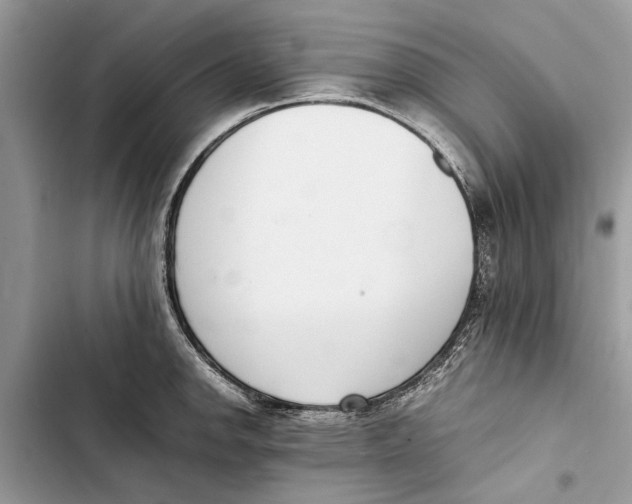 X0000103451142200810031430