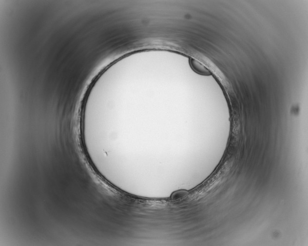 X0000103451144200810031430