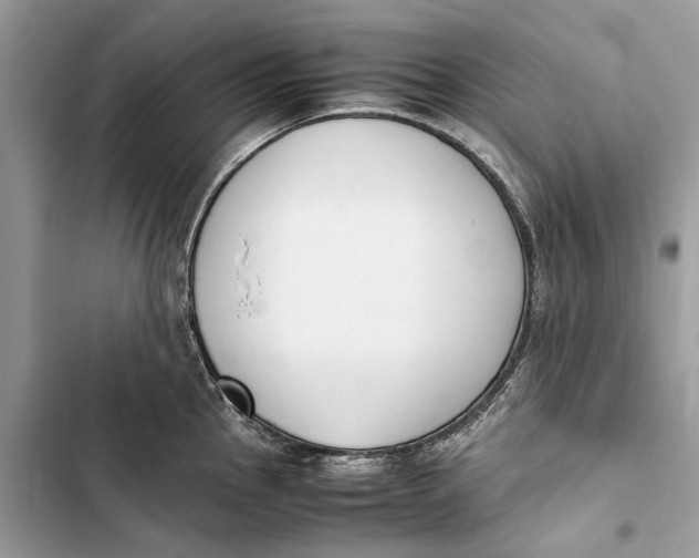 X0000103451145200810031430