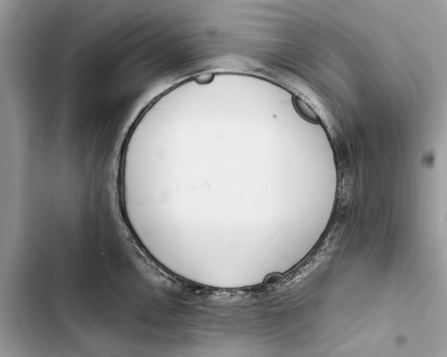 X0000103451146200810031430