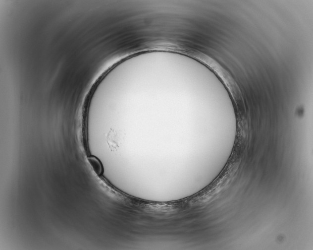 X0000103451147200810031430