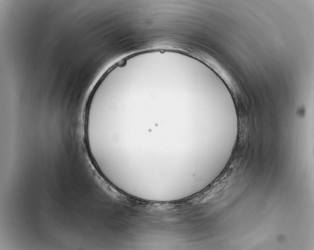 X0000103451148200810031430