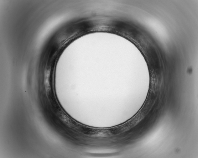 X0000103451150200810031430