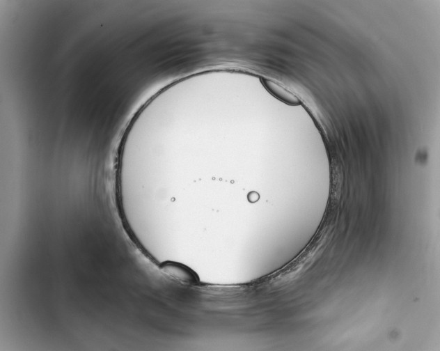 X0000103451151200810031430